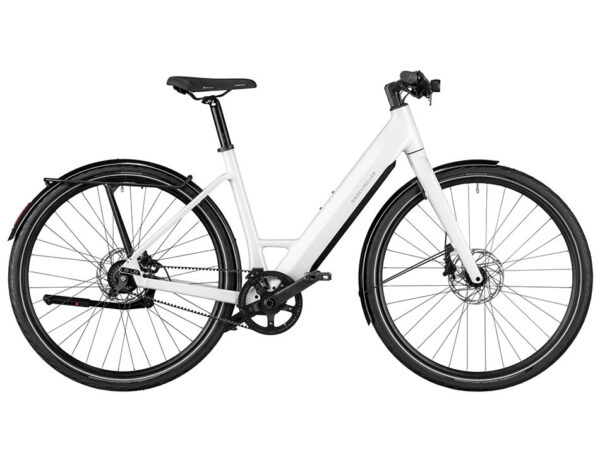 Riese & Muller UBN Six silent