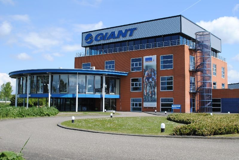 Giant Giant