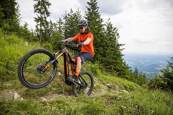 E bike mountainbike