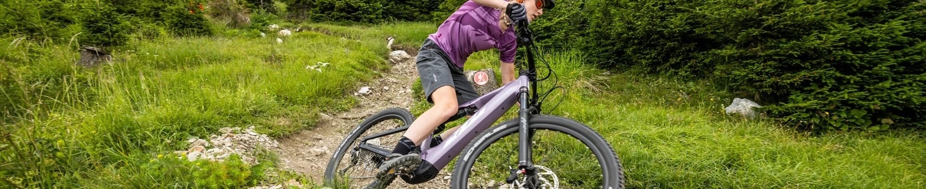 Mountain E-Bikes