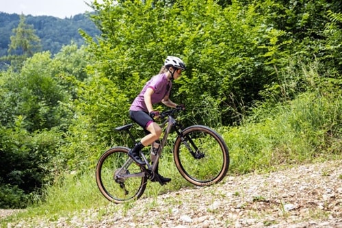 Mounatinbike Stuttgart