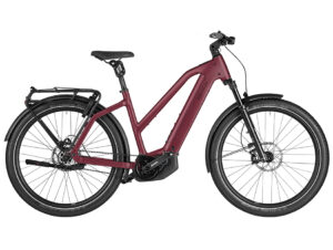 Riese&Müller Charger5 Mixte pinion