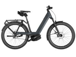Riese&Müller Nevo5 pinion