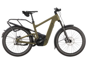 Riese & Muller Delite5 pinion
